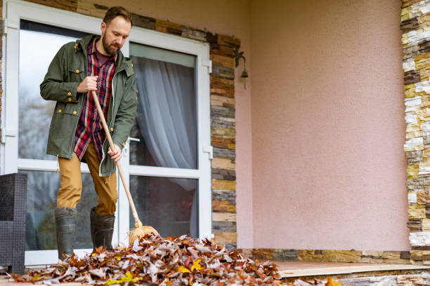Best Furniture Removal Near Me  in Mars Hill, NC